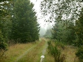 Forêt d'Anlier