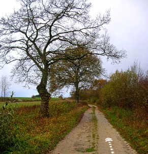 Aarlen - Etalle Romeinse weg