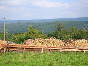 Banoyard