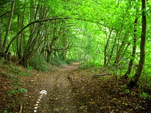 Le Vieux Fourneau