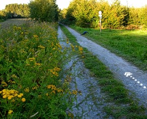 Chemins des pèlerins