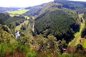 Sûrevallei