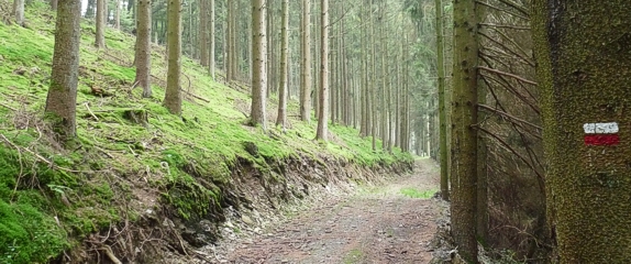 GR 15 ardennen