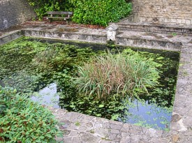 Bron Semois
