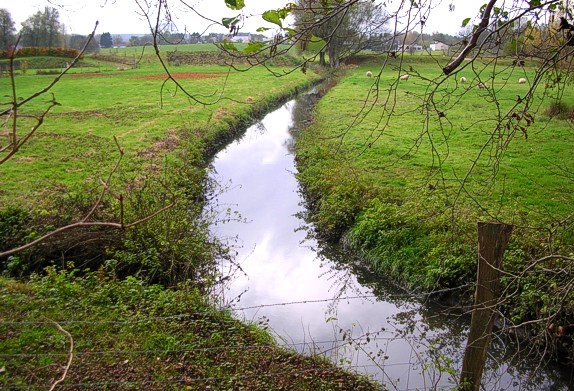 Arlon Semois
