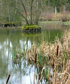 Villemont