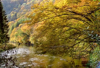 Semois Rochehaut