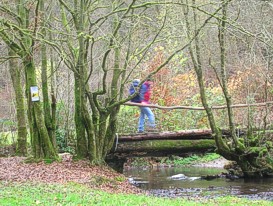 Ruisseau Bois Jean