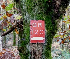 GR12C